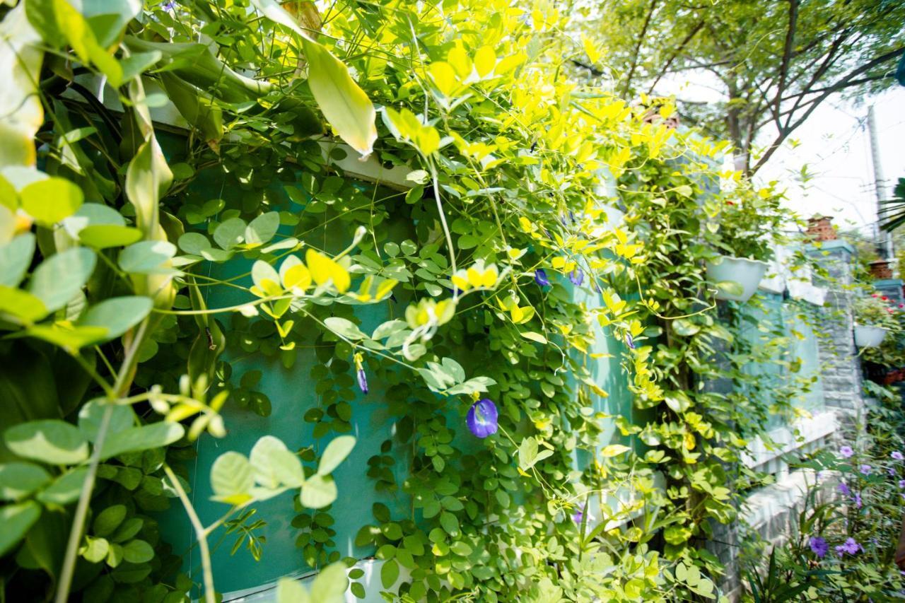 Magnolia Garden Villa ฮอยอัน ภายนอก รูปภาพ